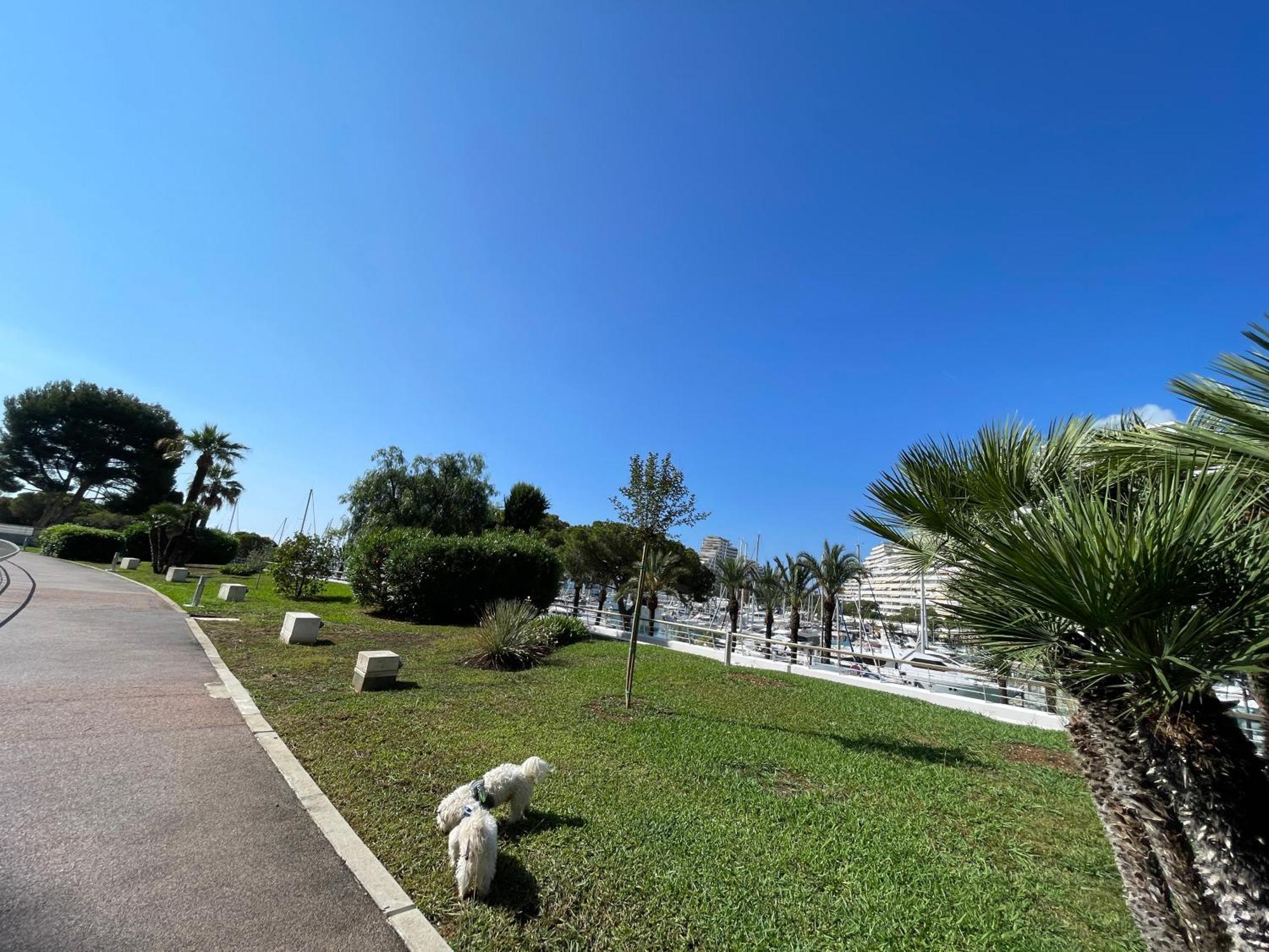 Studio A 2 Pas De La Plage 빌뇌브루베 외부 사진